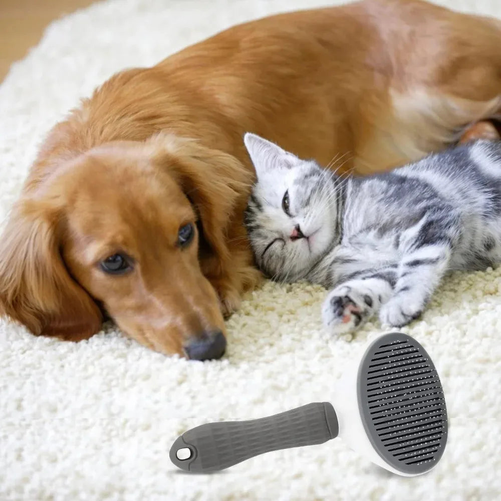 CleanFur™ Self-Cleaning Brush by Ainiki