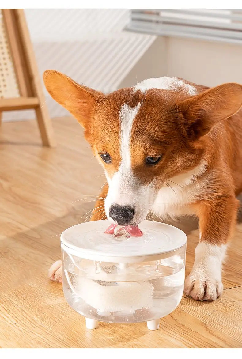 SilentFlow™ Pet Fountain by Ainiki