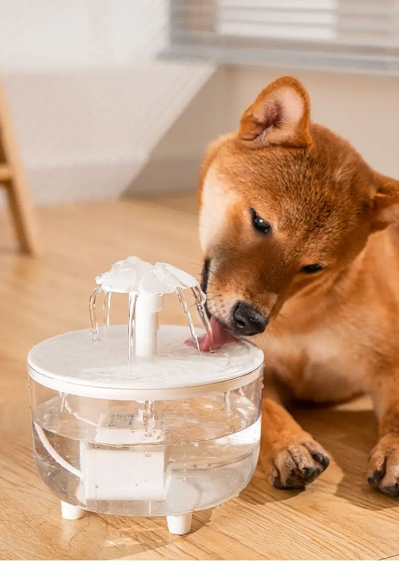 SilentFlow™ Pet Fountain by Ainiki
