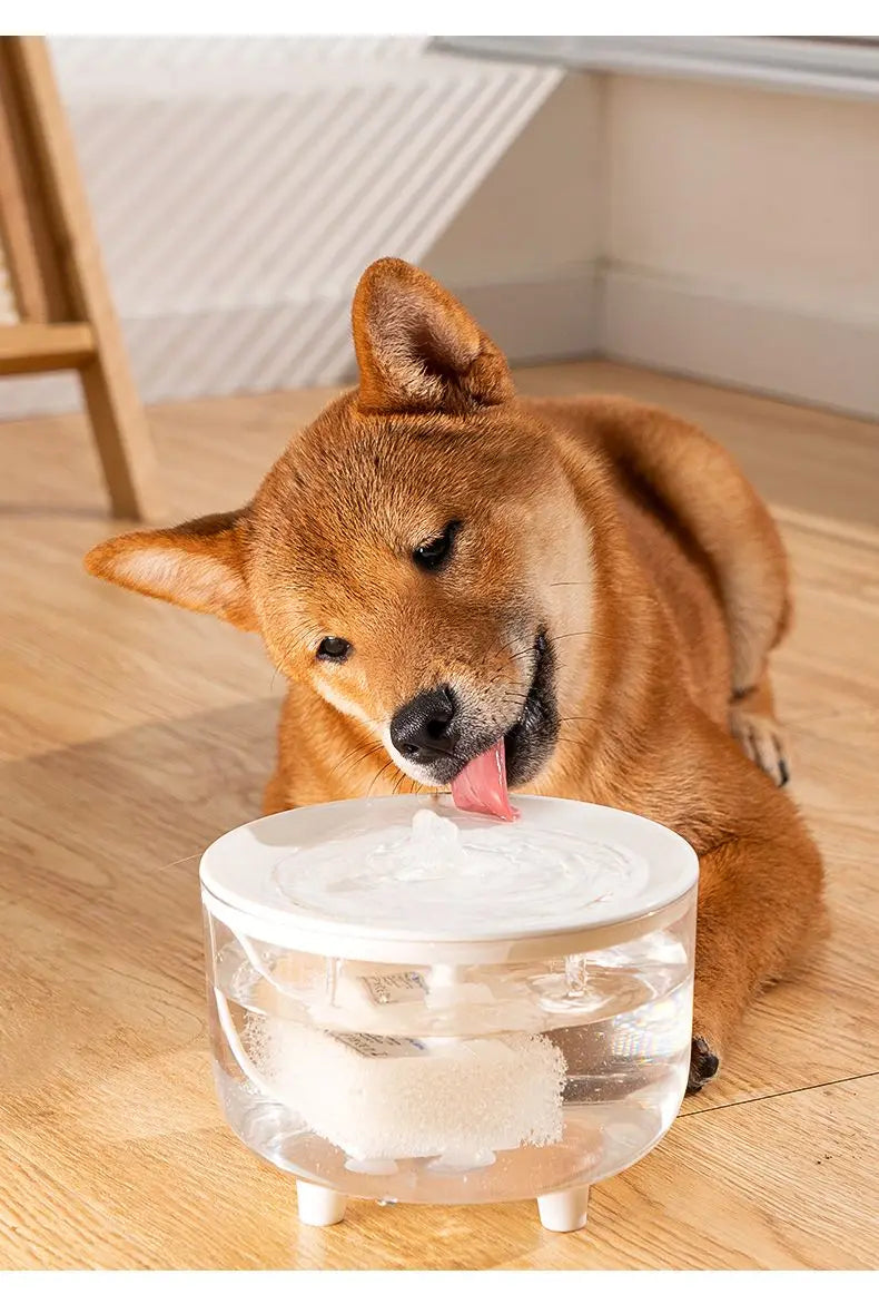 SilentFlow™ Pet Fountain by Ainiki