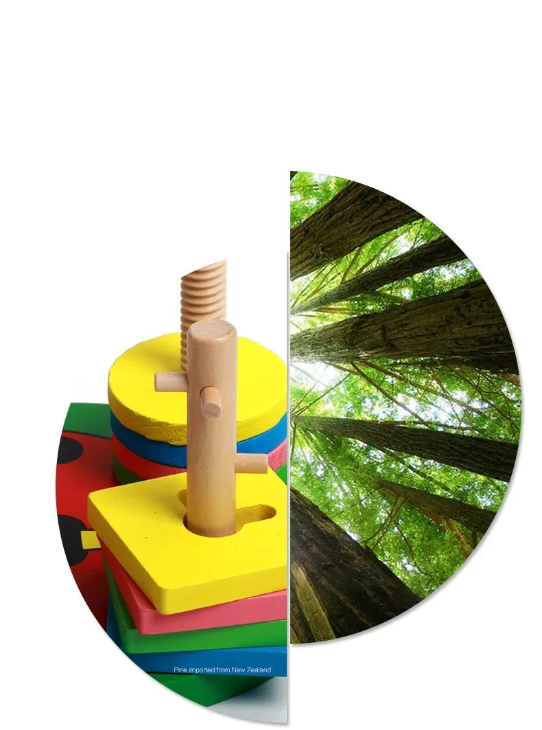 SmartStack™ Wooden Puzzle by Ainiki