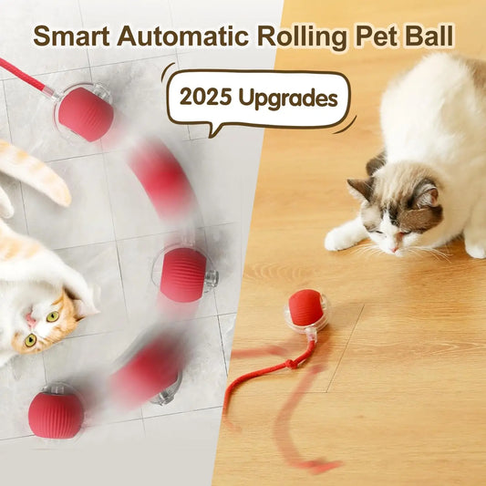 InstinctPlay™ Rolling Ball by Ainiki