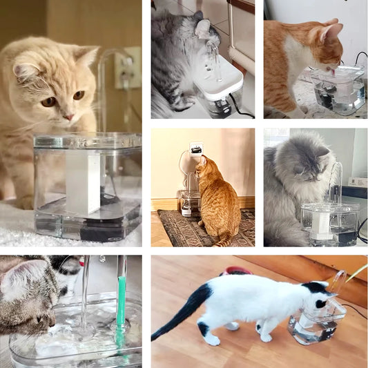 FreshFlow™ Automatic Pet Fountain by Ainiki