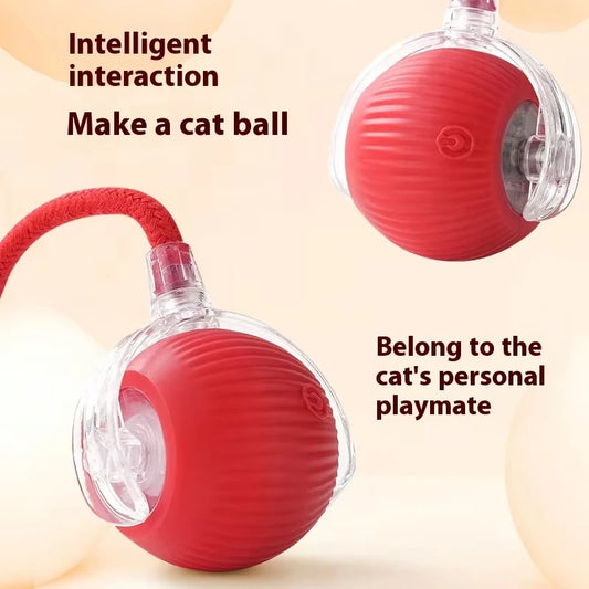 InstinctPlay™ Rolling Ball by Ainiki
