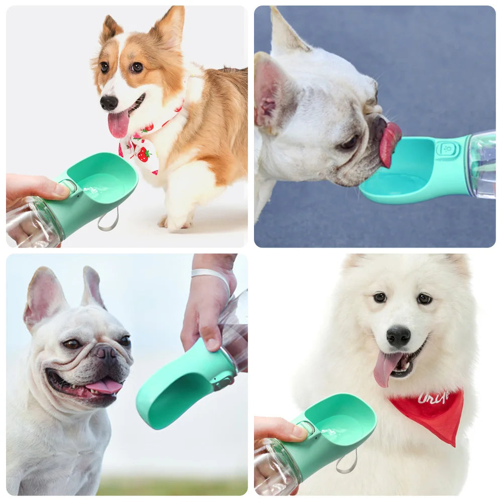 PawSip™ Travel Water Bottle by Ainiki 